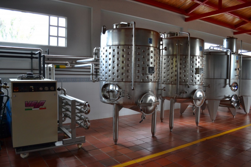 cave-ST ANTONIN-min_wine_production_cantine_winery_drink_alcohol_vine_beverage-902036